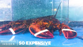 Why Lobster Is So Expensive | So Expensive