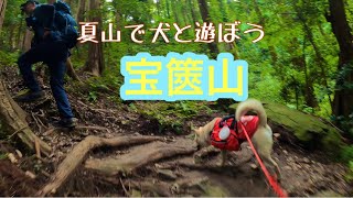 【低山登山】夏の宝篋山にワンコ連れでいったらめっちゃ楽しかった♪