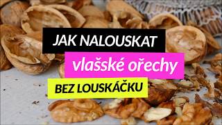 Jak nalouskat vlašské ořechy bez louskáčku snadno a rychle