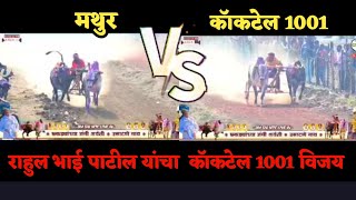 कॉकटेल 1001  vs मथुर  विजय गाडी कॉकटेल 1001