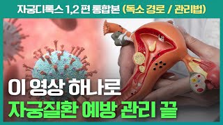 자궁질환을 유발하는 자궁독소가 쌓이는 원인과 디톡스 방법을 모두 알려드립니다!