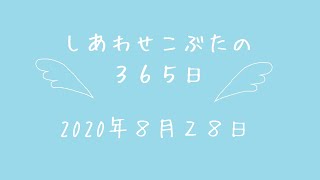 株式会社SCRIT「しあわせこぶたの３６５日」８/２８