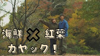 【秋キャンプ】紅葉＆海鮮＆カヤックに盛りだくさんキャンプで充実感半端ない