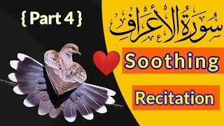 surah al araaf | Recitation | quran | tilawat | سورہ الاعراف