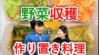 【作り置き料理3品】＋1品＆野菜収穫