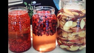 과일식초 만들기 Homemade fruit vinegar