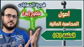 كورس مبادئ المحاسبة المالية - الحلقة 5 ( شجرة الحسابات . . بتطرح إيه؟؟ )