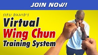 Learn Wing Chun Online - Virtual Wing Chun Training System - NOW OPEN!
