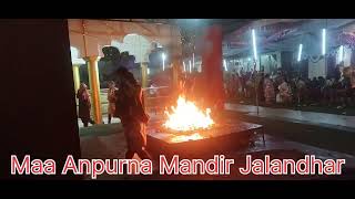 Maa Anpurna Mandir and Maa Varinda Mata  Mandir Jalandhar 14.11.2024 #tulsi #varindavan #tulsivivah