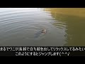 釣り漫画でよく見るリリース時の魚のジャンプのさせ方解説‼　【通常動画版】【バスフィッシング】【バス釣り】