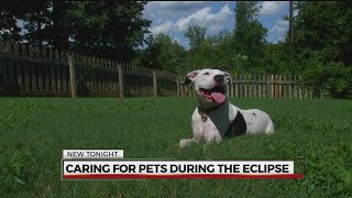 The Eclipse and Animals: How will they react?