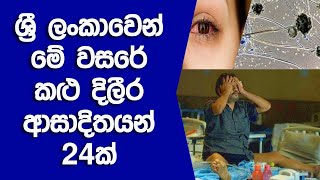 කළු දිලීර රෝගයේ ඇත්ත නැත්ත මෙන්න 2021 වසරේ මේ දක්වා කාලයේ දී ආසාදනය වූවන් 24 දෙනක්