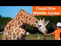 Fossil Rim Wildlife Center | Dallas Safari | Safari Park Glen Rose Tx (4k)