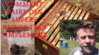 Saison1 Ep 33 Comment avoir ses propres reines de valeurs et comment les utiliser. Les Ruchers de D