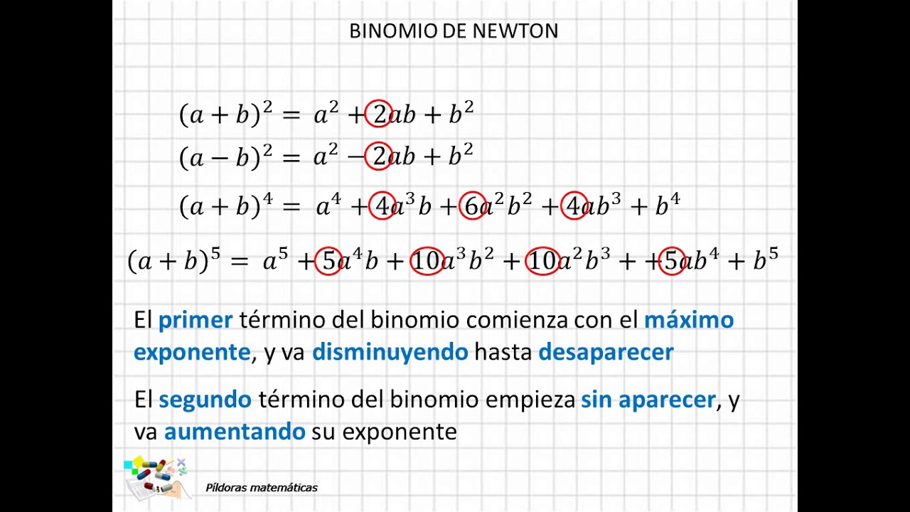 Exercicio Binomio De Newton