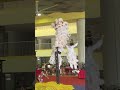 Fall and Rise | Lion dance