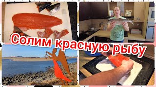 Как засолить красную рыбу ?