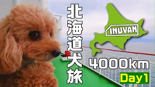 【北海道犬旅 4000キロ 車中泊】Day1 夢だった犬連れ北海道旅の始まり！犬と過ごせるフェリーで函館上陸！ INUVAN〜イヌとバンライフ