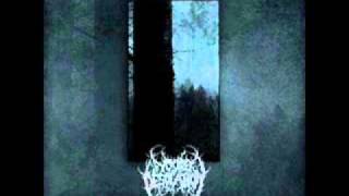 Woods of Desolation - Torn Beyond Reason