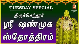 TUESDAY SPL | POWERFUL THIRUCHENDUR SHANMUGA STOTHRAM | MURUGAN DEVOTIONAL SONG |MURUGAN BAKTHIPADAL