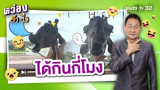 ยีราฟน้ำลายยืด ได้กินกี่โมง : หว่องฮาไว | 23 ก.ย. 67 | ห้องข่าวหัวเขียว