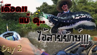 Day 2 ล่าครอกชะโด กัดเหยื่อผิวน้ำ โคตรดุ วันเดียวแขนแทบหลุด!!   | Kayak Fishing