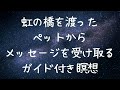 虹の橋を渡ったペットからメッセージを受け取る瞑想. あなたの想いを伝え、ペットの想いを受け取れるガイド付き瞑想です。