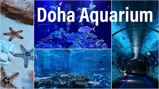 Doha Aquarium | Hamad Port Visitors Center Aquarium | Must-Visit Destination | Things to Do in Qatar