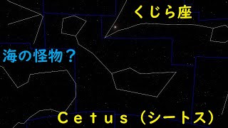 【８８星座紹介】くじら座