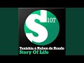 Story Of Life (Instrumental Mix)