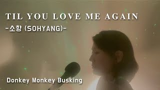 [COVER video] 'Til You Love Me Again - 소향(Sohyang)' - Donkey Monkey Busking