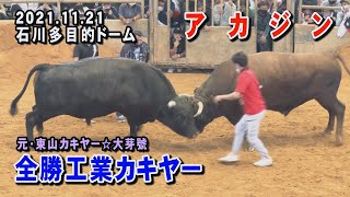 アカジン VS 全勝工業カキヤー　 2021.11.21(R3)