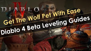 Diablo 4 Leveling Guides for All Classes in the Beta