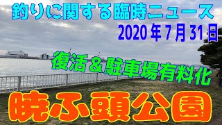 深神高広の釣りに関する臨時ニュース（暁ふ頭公園　2020年7月31日）