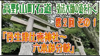 高野山町石道「弘法大師の道を行く！」第２回その１「丹生都比売神社～六本杉分岐」（世界遺産・紀伊山地の霊場と参詣道）