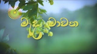 Thangalla Somagiri Viharaya - 11_07_2020 _Part 02