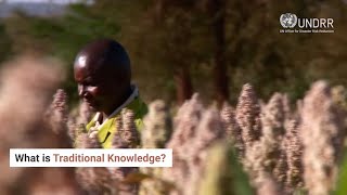 What is traditional knowledge?