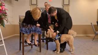 Meet Teddy, Baue Funeral Homes Grief Comfort Dog