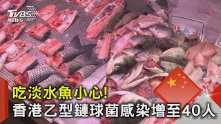 吃淡水魚小心! 香港乙型鏈球菌感染增至40人｜TVBS新聞 @TVBSNEWS02