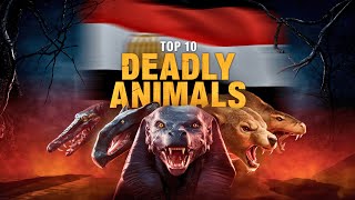 From the Nile to the Desert – 10 Killer Creatures of Egypt!