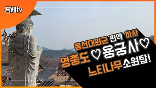 백운산 용궁사 | 원효대사 창건 | 흥선대원군 편액 | 1300년 느티나무 | 소원바위 | 미륵불