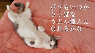 🔴【にこりら】さよなら想くん😭卒園おめでとうライブ🌸