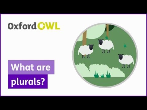 What is owl plural?
