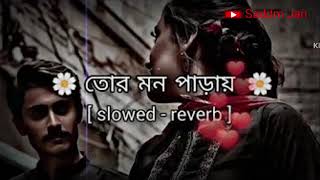 Tor_ MON _paray _Thakte _De _Amay _best Bengali romantic Lofi songs ( Slowed And Reverb )🥰#viral #