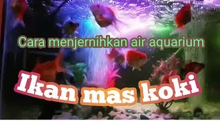 Playtube Pk Ultimate Video Sharing Website