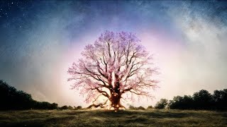 Sacred Tree 🍃 1 Hour Meditation Music for Peace and Balance
