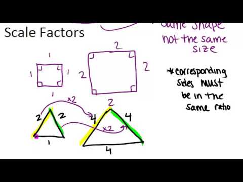 Similar Polygons And Scale Factors Principles ( Video ) | Geometry | CK ...