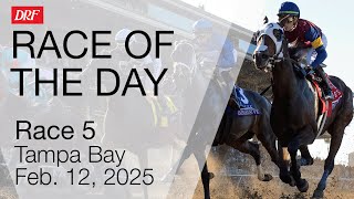 DRF Wednesday Race of the Day | Tampa Bay Downs Race 5 | February 12, 2025