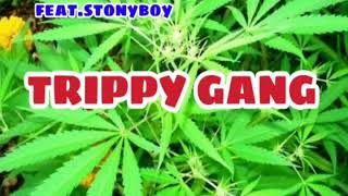 Telugu Joint  songs -  Stony boy hyd | Dope rap | ganja telugu songs