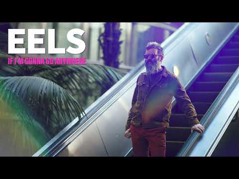 Eels Eels Time Review Live4ever Media